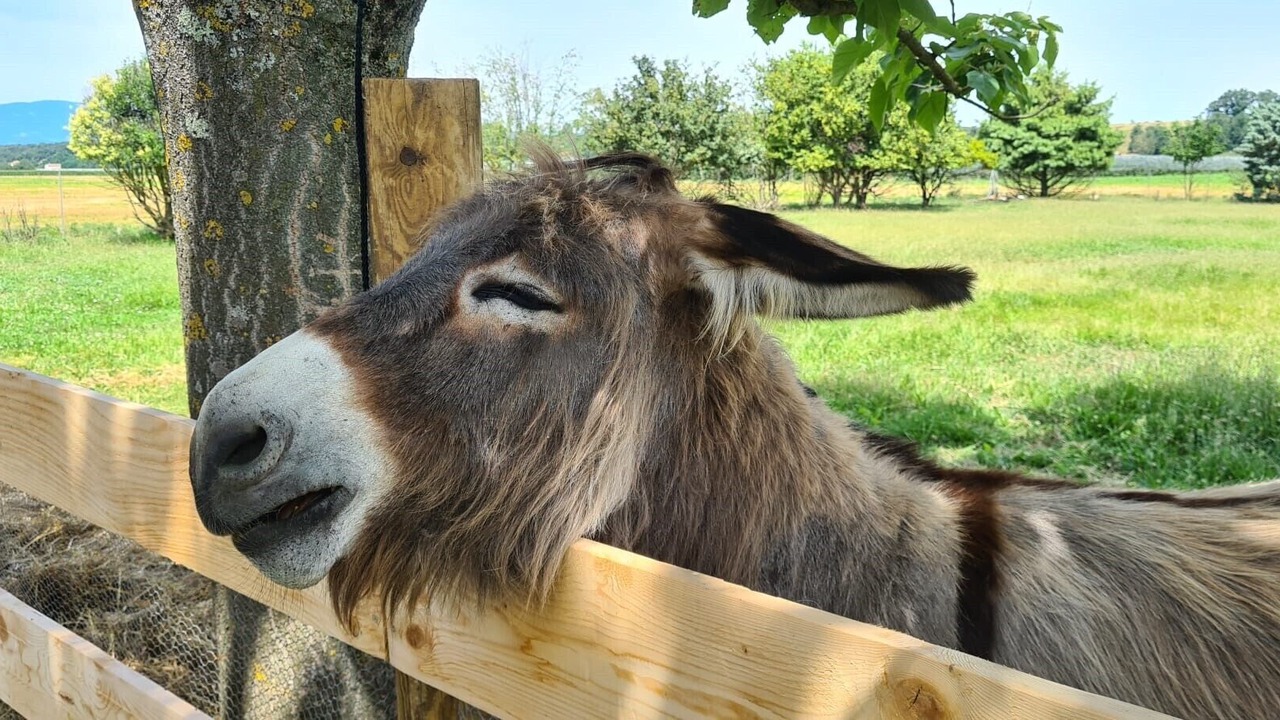 Photo of Others in Bouge-Chambalud