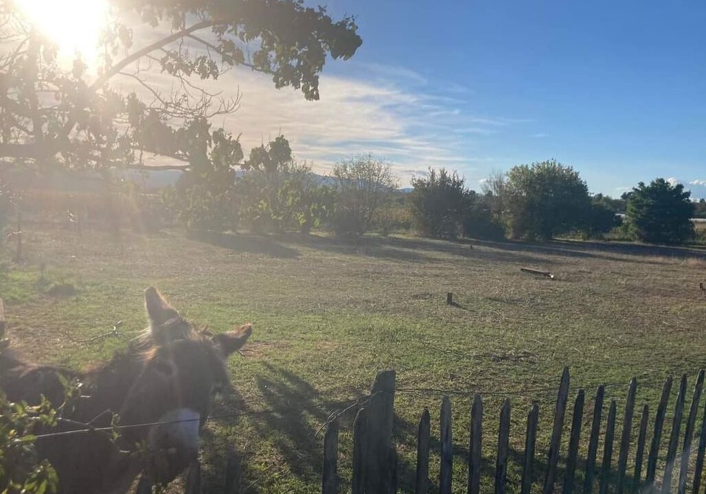 Photo of Others in Bouge-Chambalud