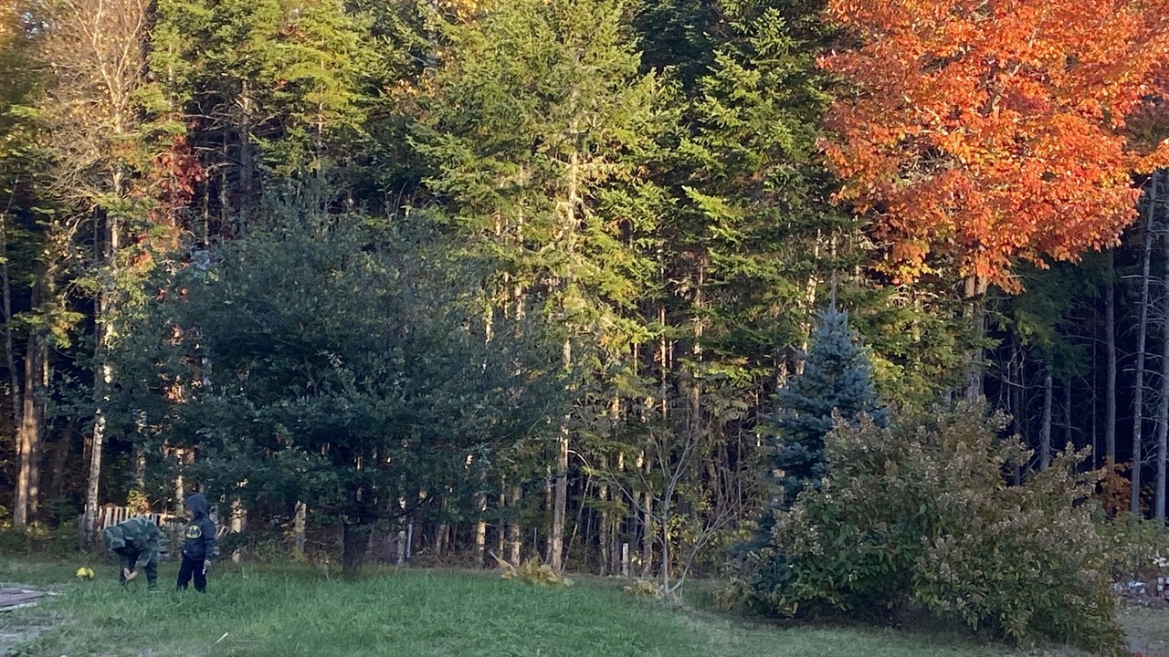 Photo of Others in Maugerville