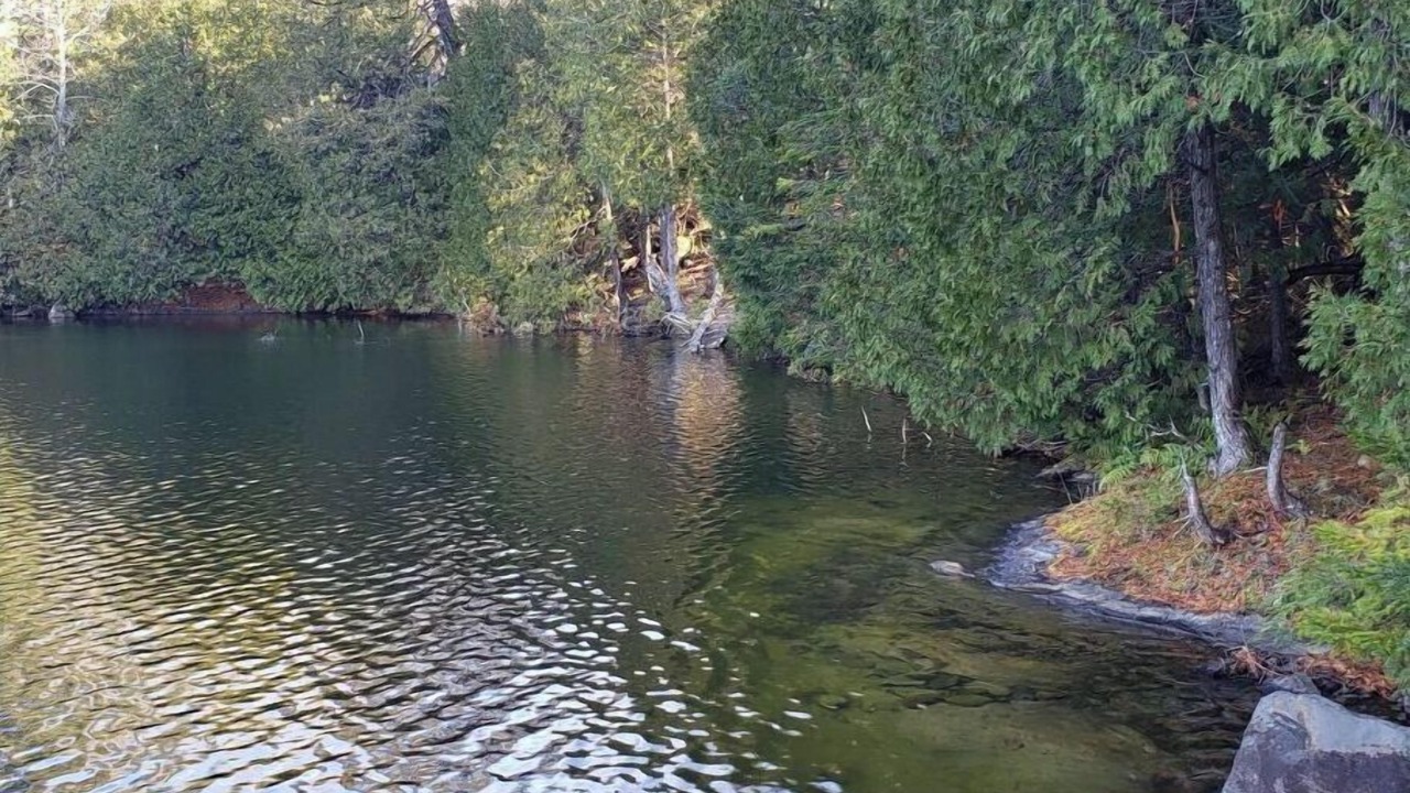 Photo of Others in Harrington