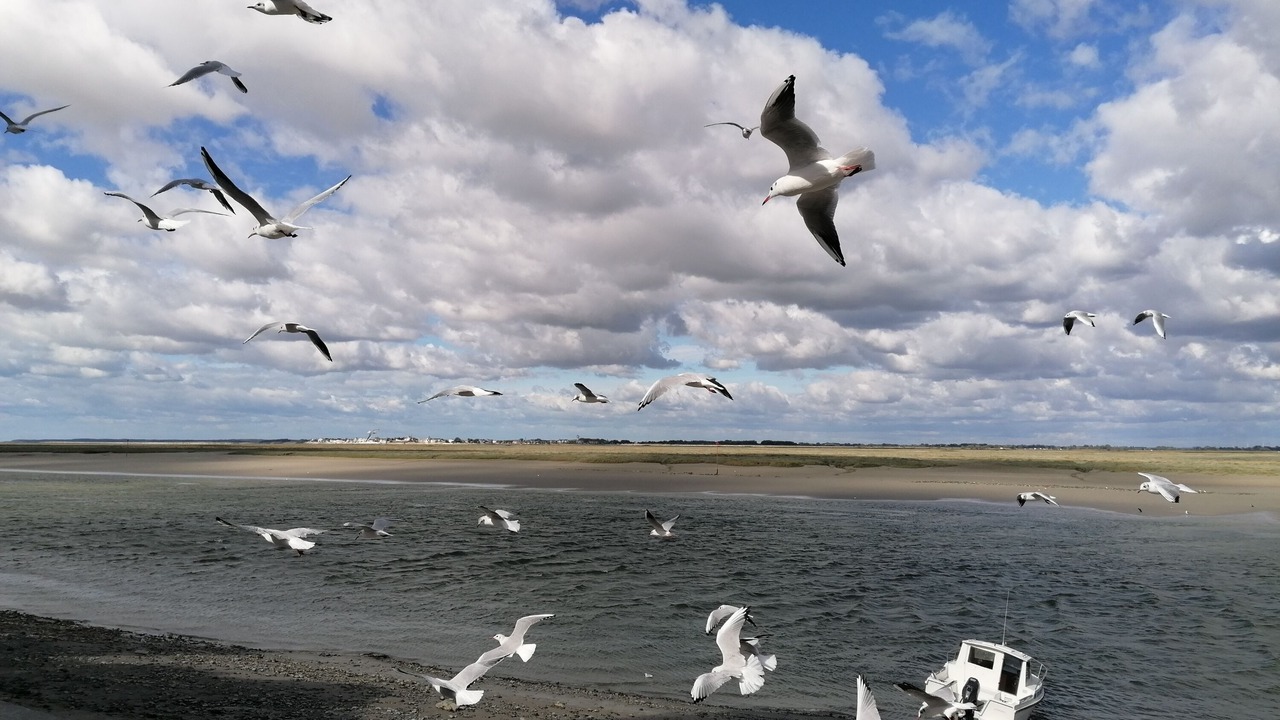 Photo of Others in Saint-Valery-sur-Somme