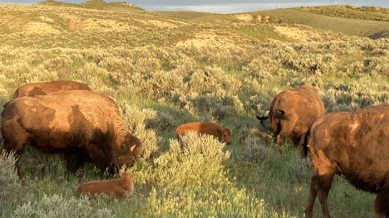 Photo of Outdoor in East Thermopolis