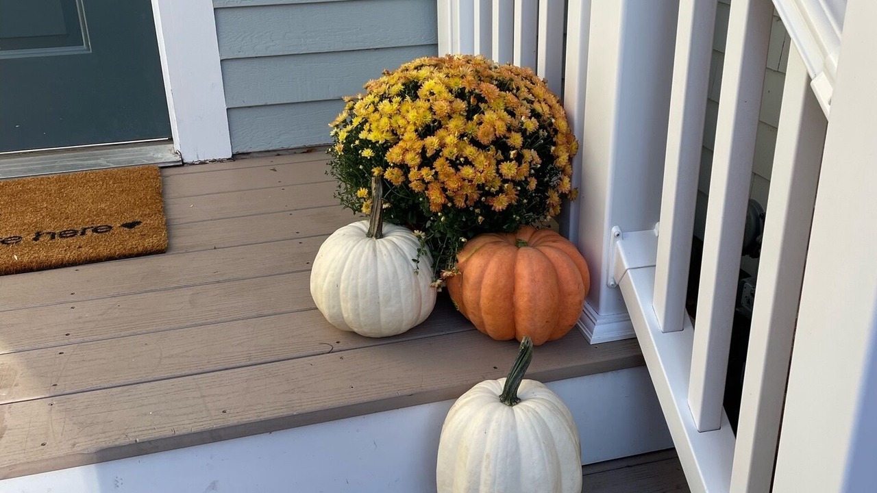 Photo of Outdoor in Northwest Harwich