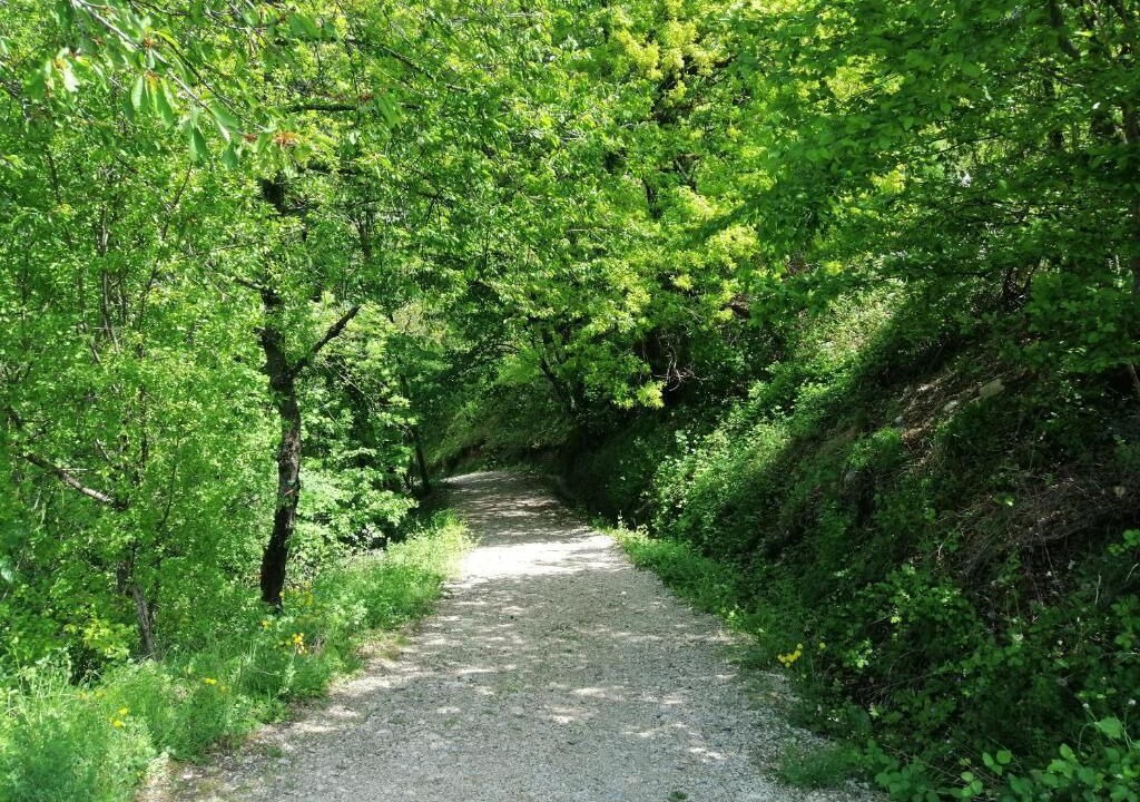 Photo of Outdoor in Sainte-Eulalie-en-Royans