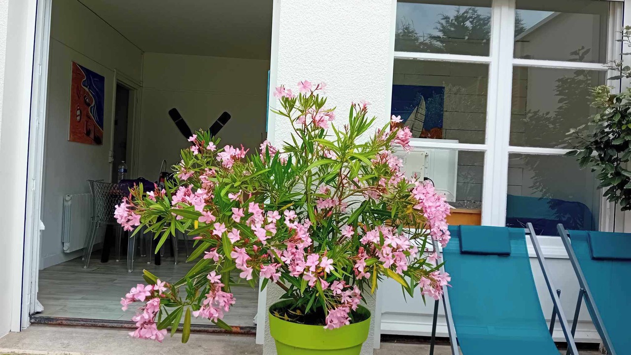 Photo of Outdoor in Berck-sur-Mer