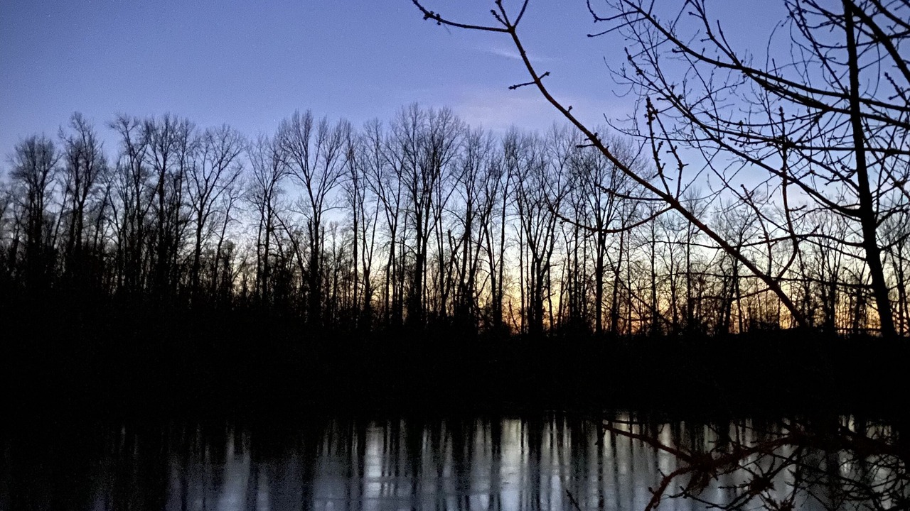 Photo of Others in Salem