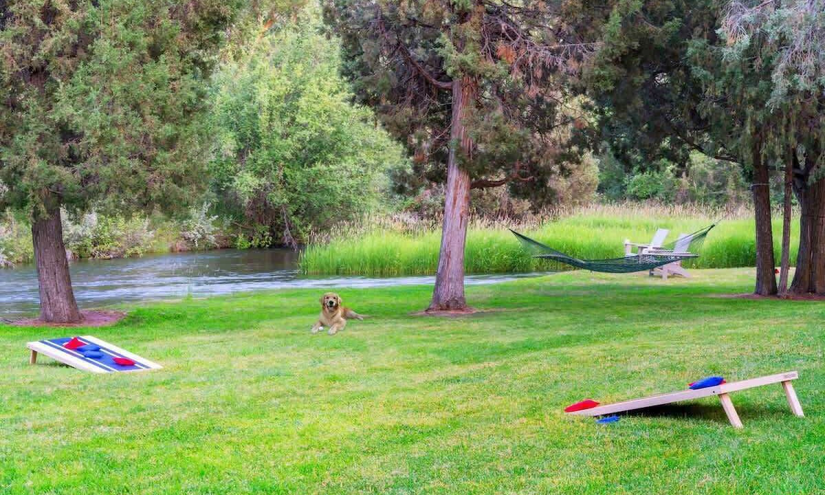 Photo of Others in Rigby