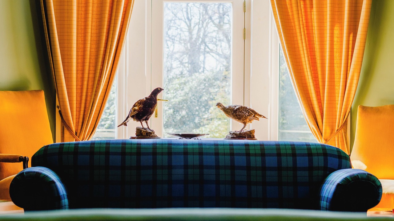 Photo of Bedroom in Blairgowrie