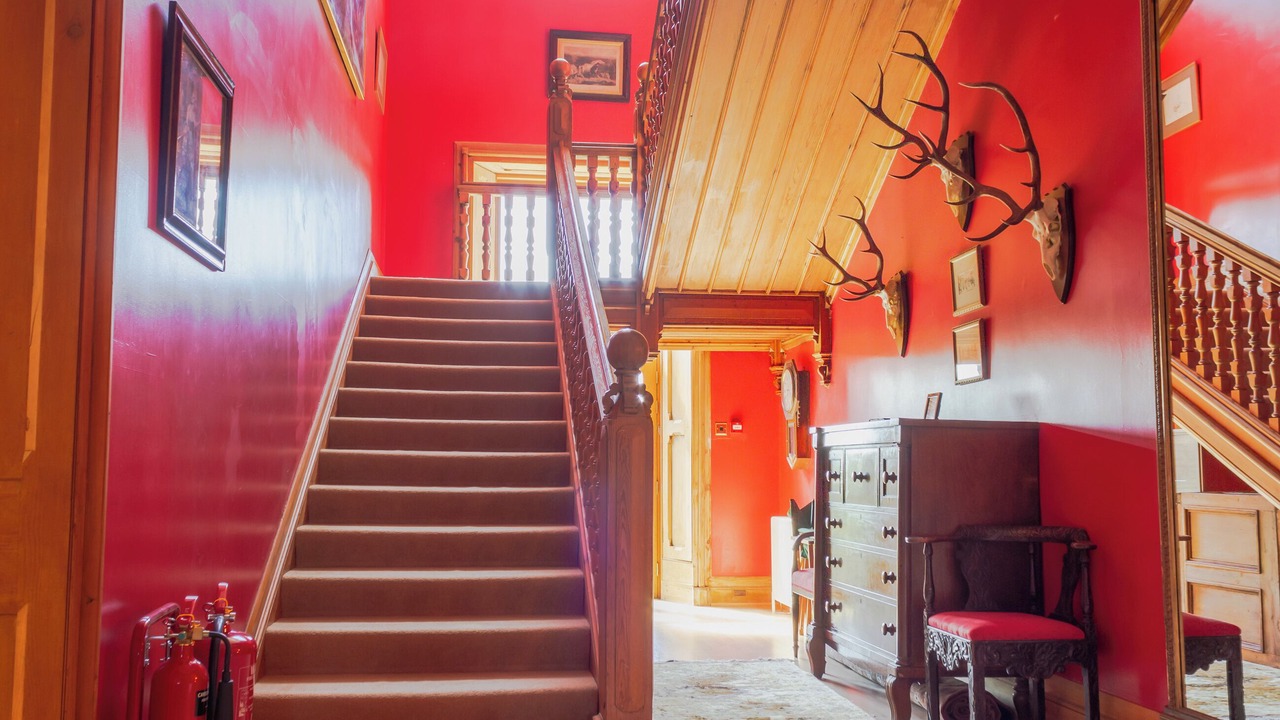 Photo of Others in Blairgowrie