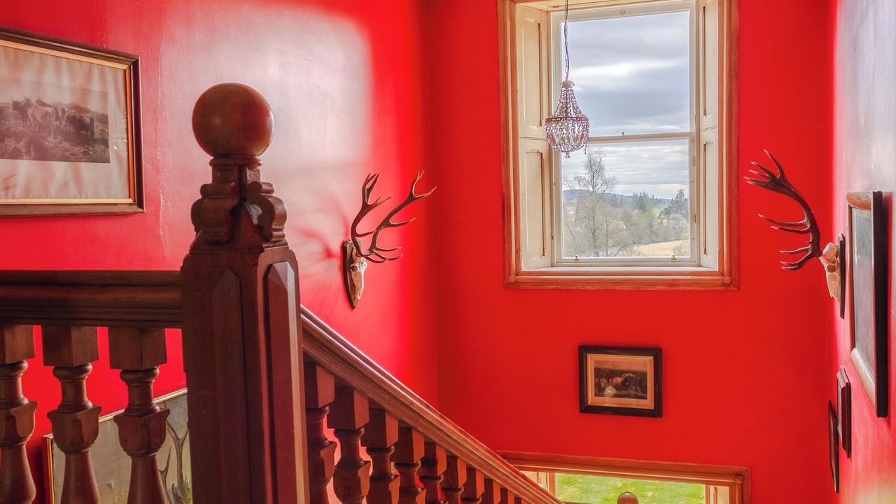 Photo of Others in Blairgowrie