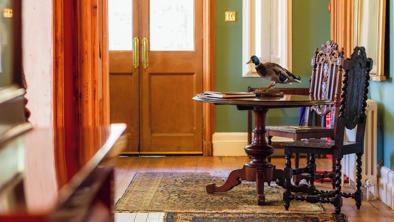 Photo of Others in Blairgowrie