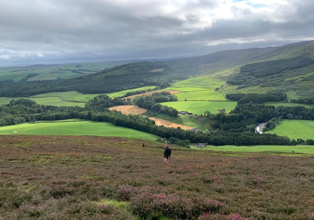 Photo of Others in Melrose