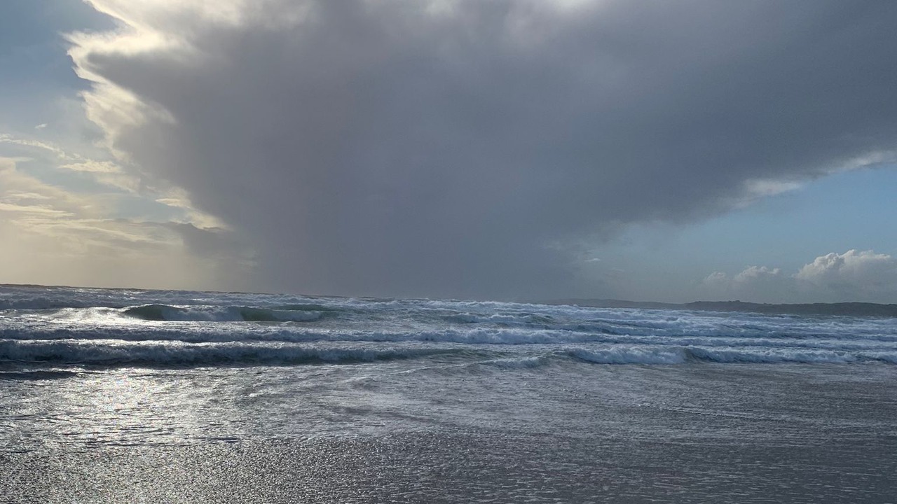 Photo of Others in Melrose