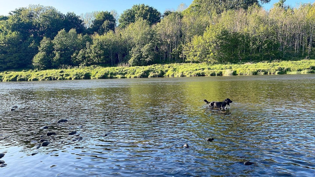 Photo of Others in Melrose