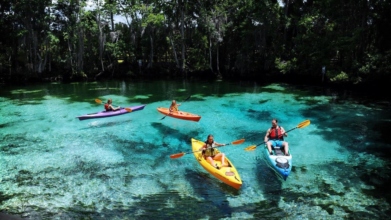 Photo of Others in Homosassa