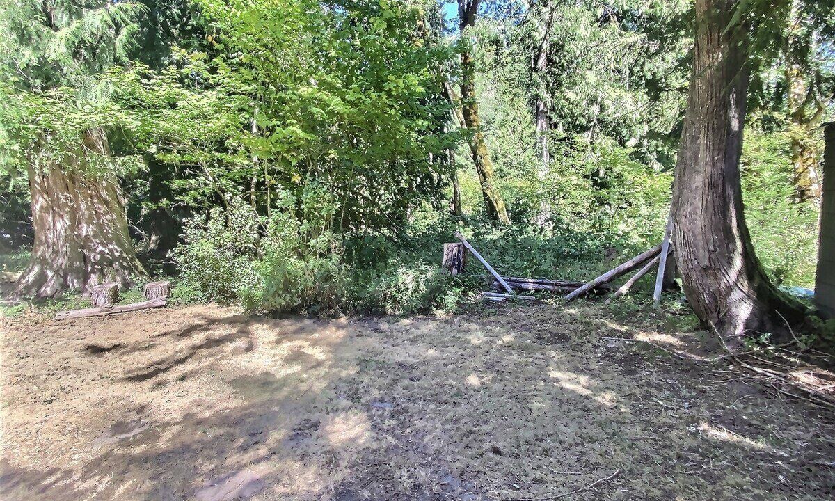 Photo of Outdoor in Packwood