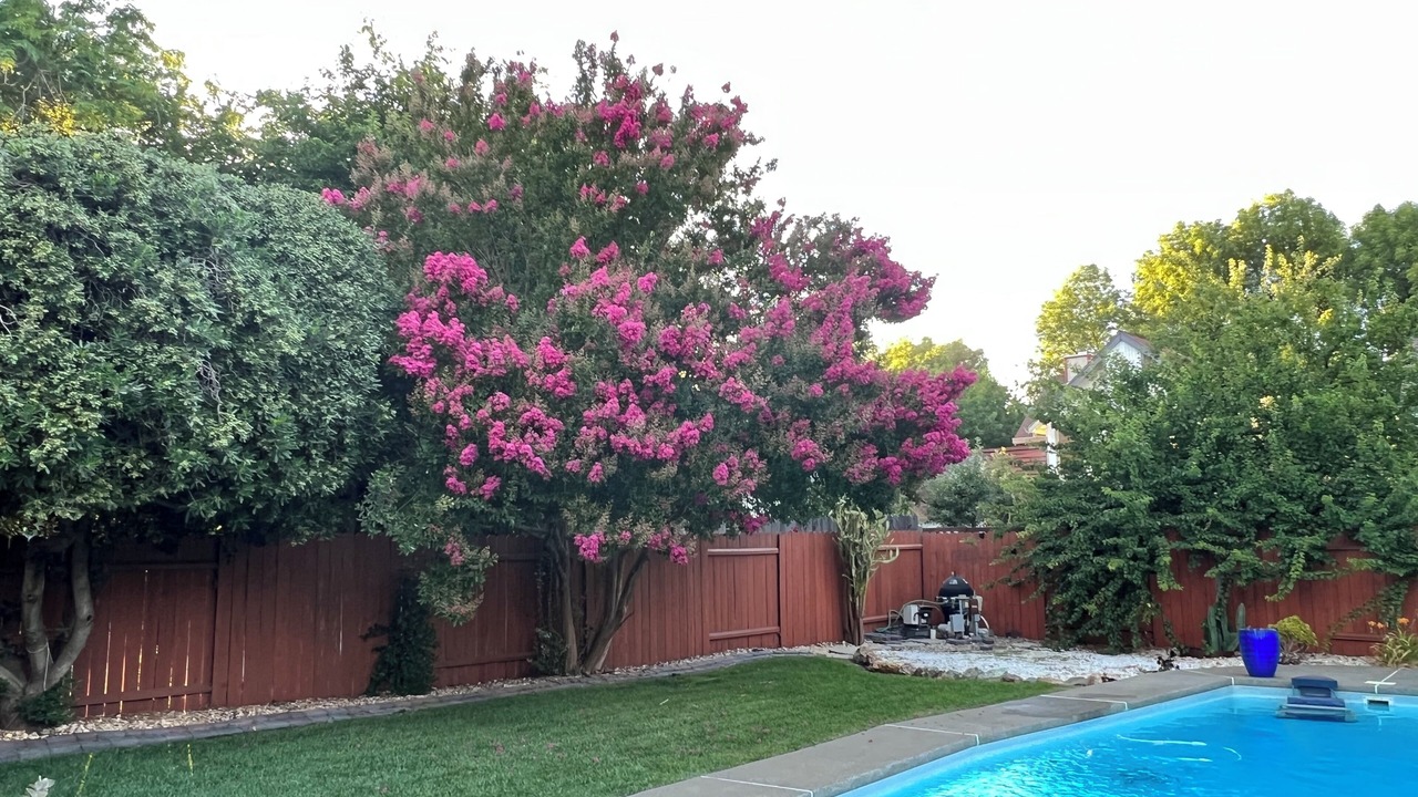 Photo of Outdoor in West Davis Manor