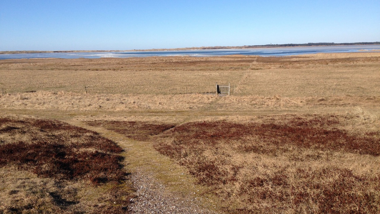 Photo of Outdoor in Agger