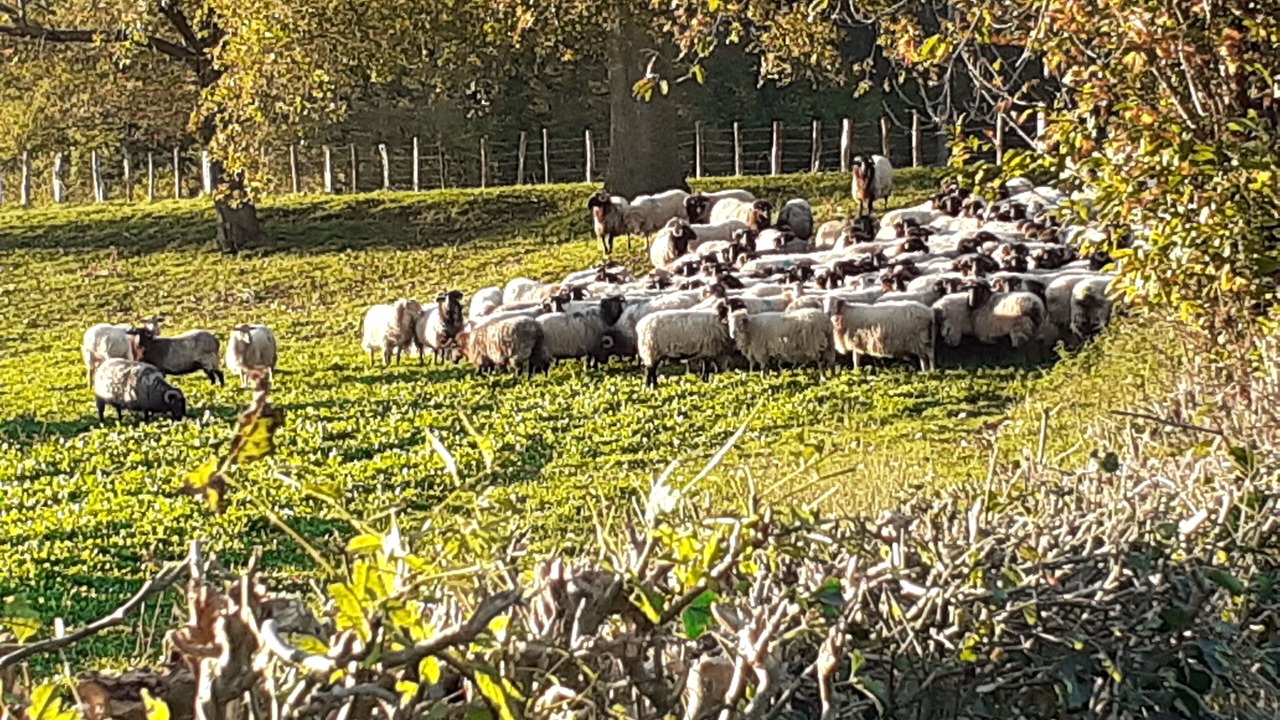 Photo of Outdoor in Ascarat