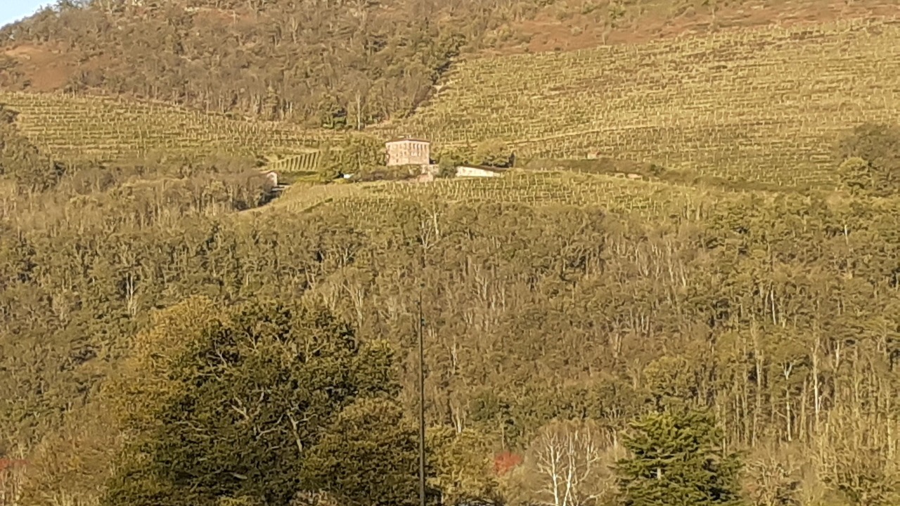 Photo of Others in Ascarat