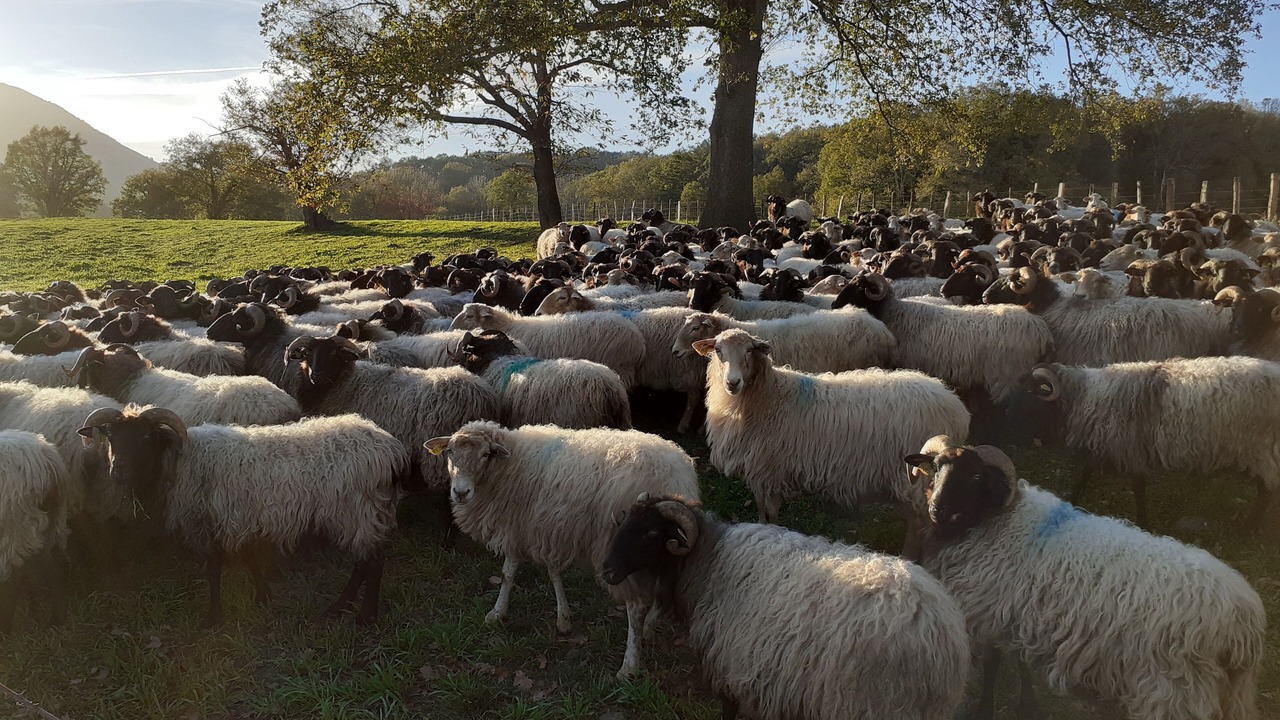 Photo of Outdoor in Ascarat