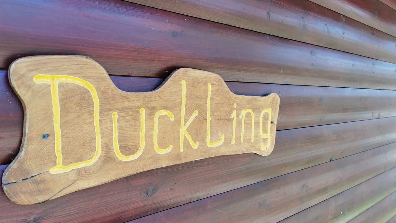 Photo of Others in East Huntspill