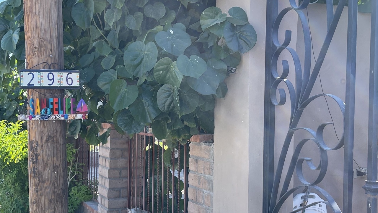 Photo of Outdoor in Primera Seccion