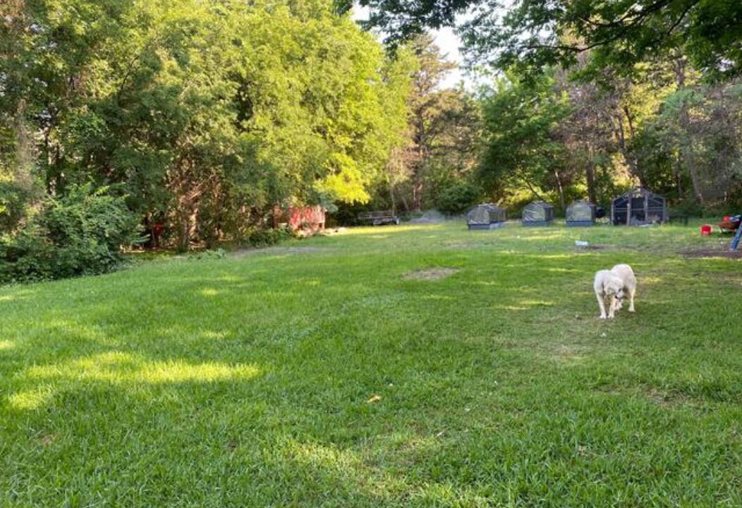 Photo of Outdoor in DeSoto
