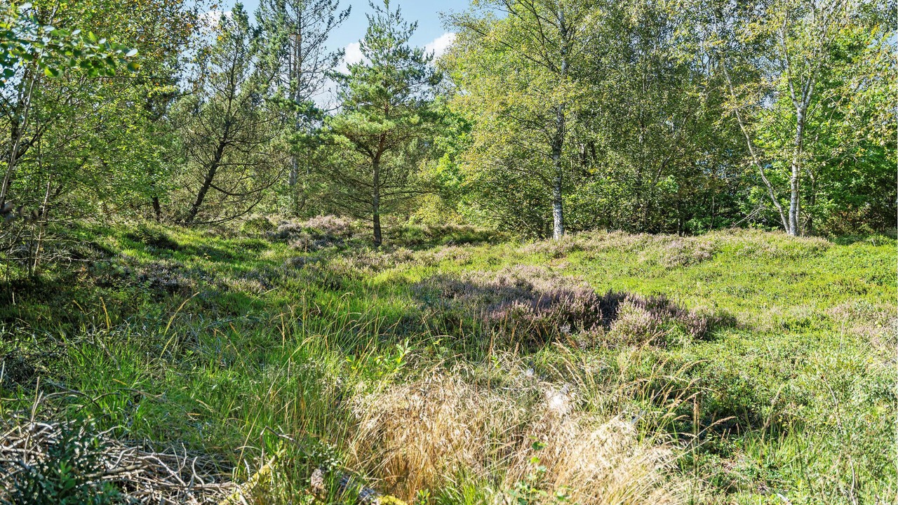 Photo of Others in Nordost