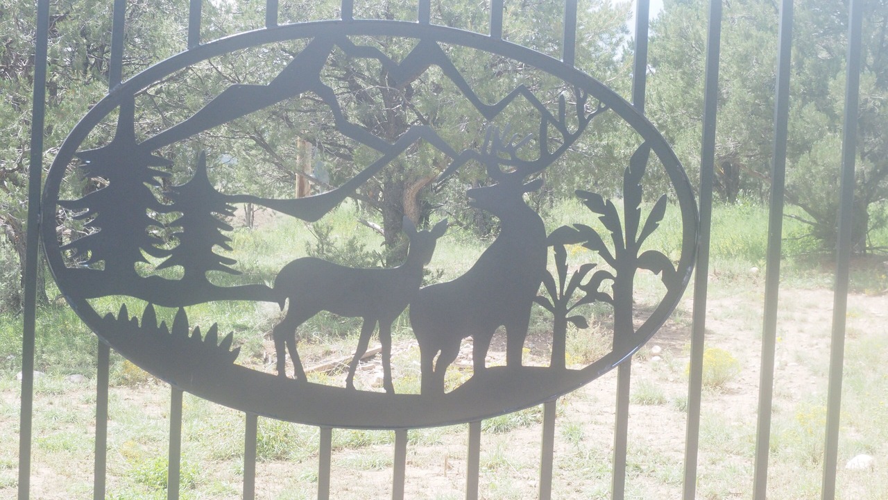 Photo of Outdoor in Cebolla