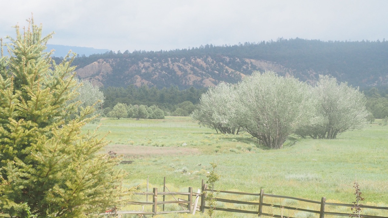 Photo of Outdoor in Cebolla