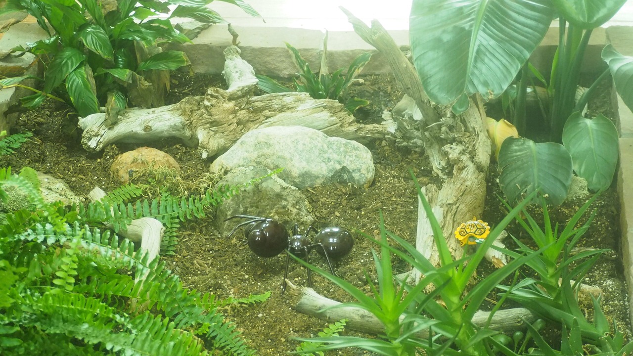 Photo of Outdoor in Cebolla