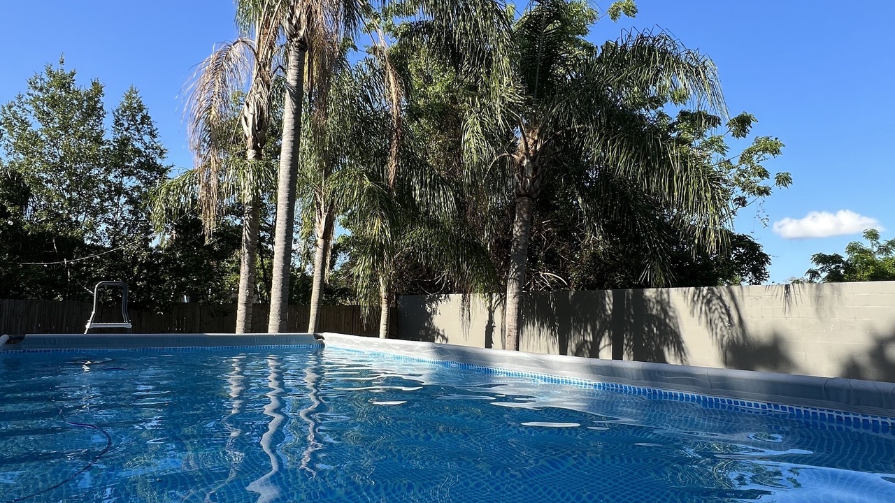 Photo of Outdoor in Palm Harbor