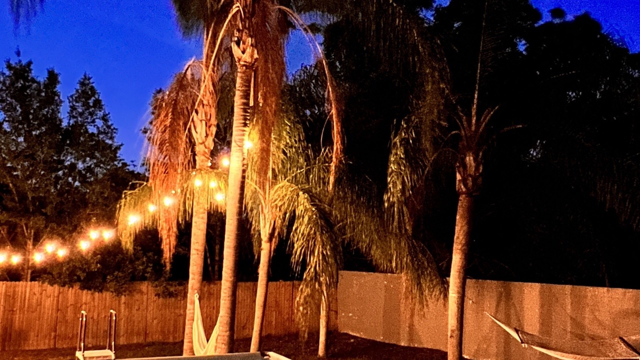 Photo of Outdoor in Palm Harbor
