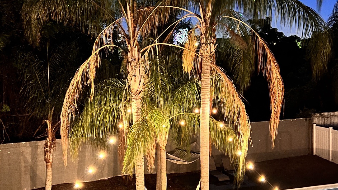 Photo of Outdoor in Palm Harbor