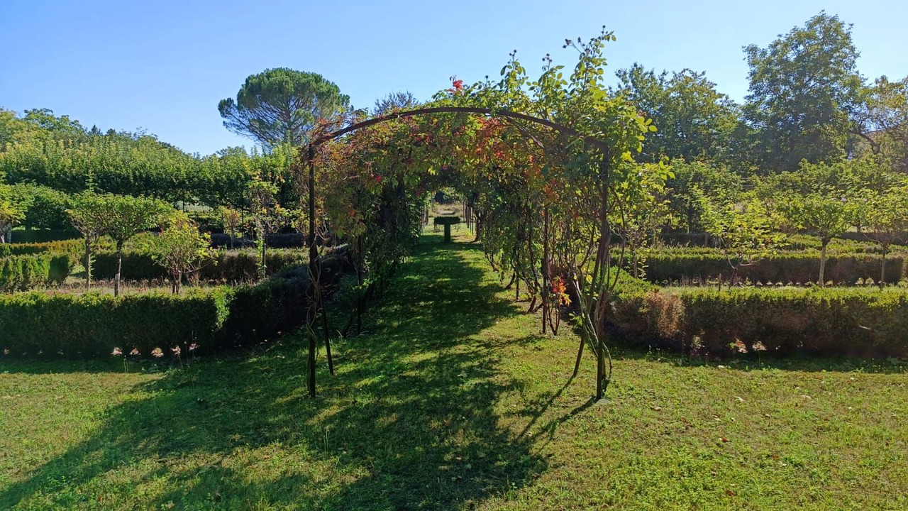 Photo of Outdoor in Bourg-Charente