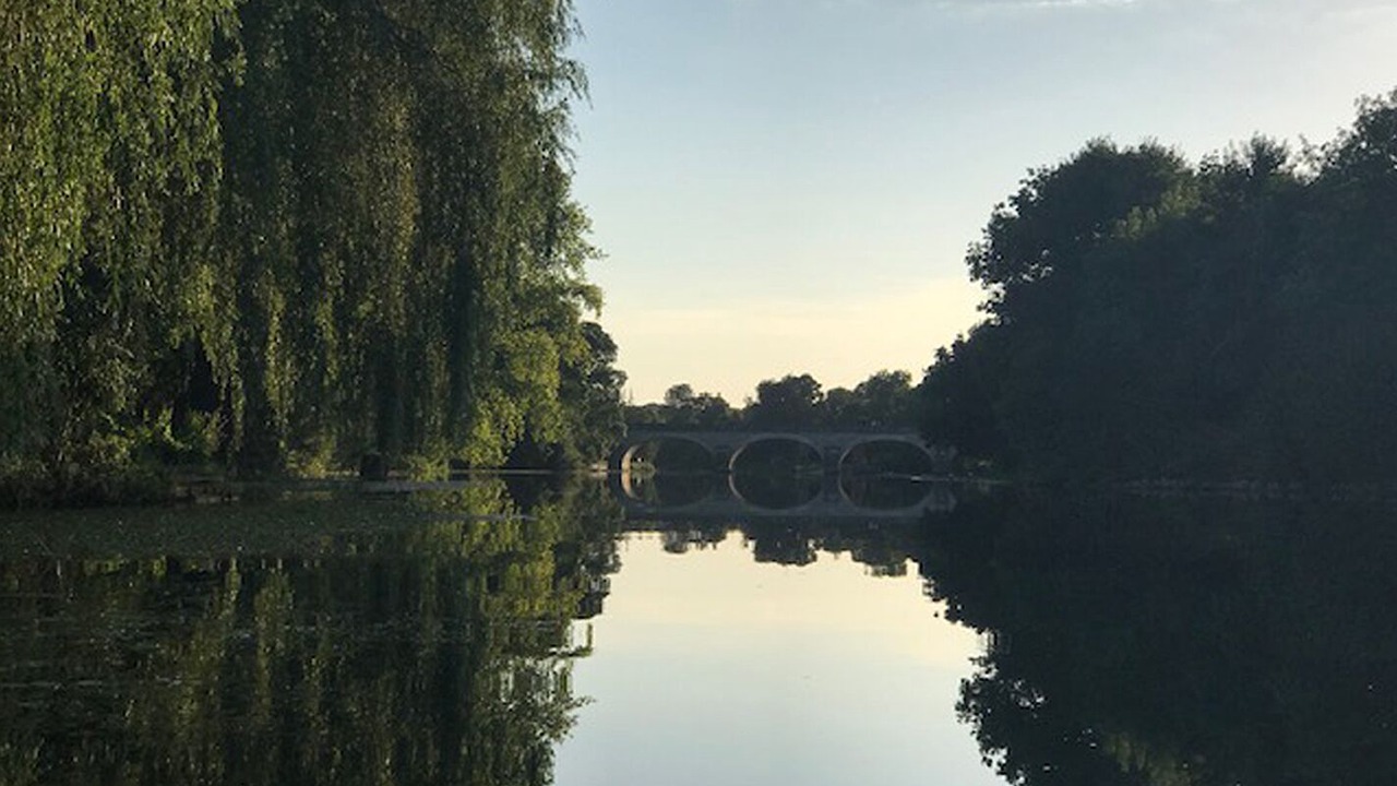 Photo of Others in Bourg-Charente