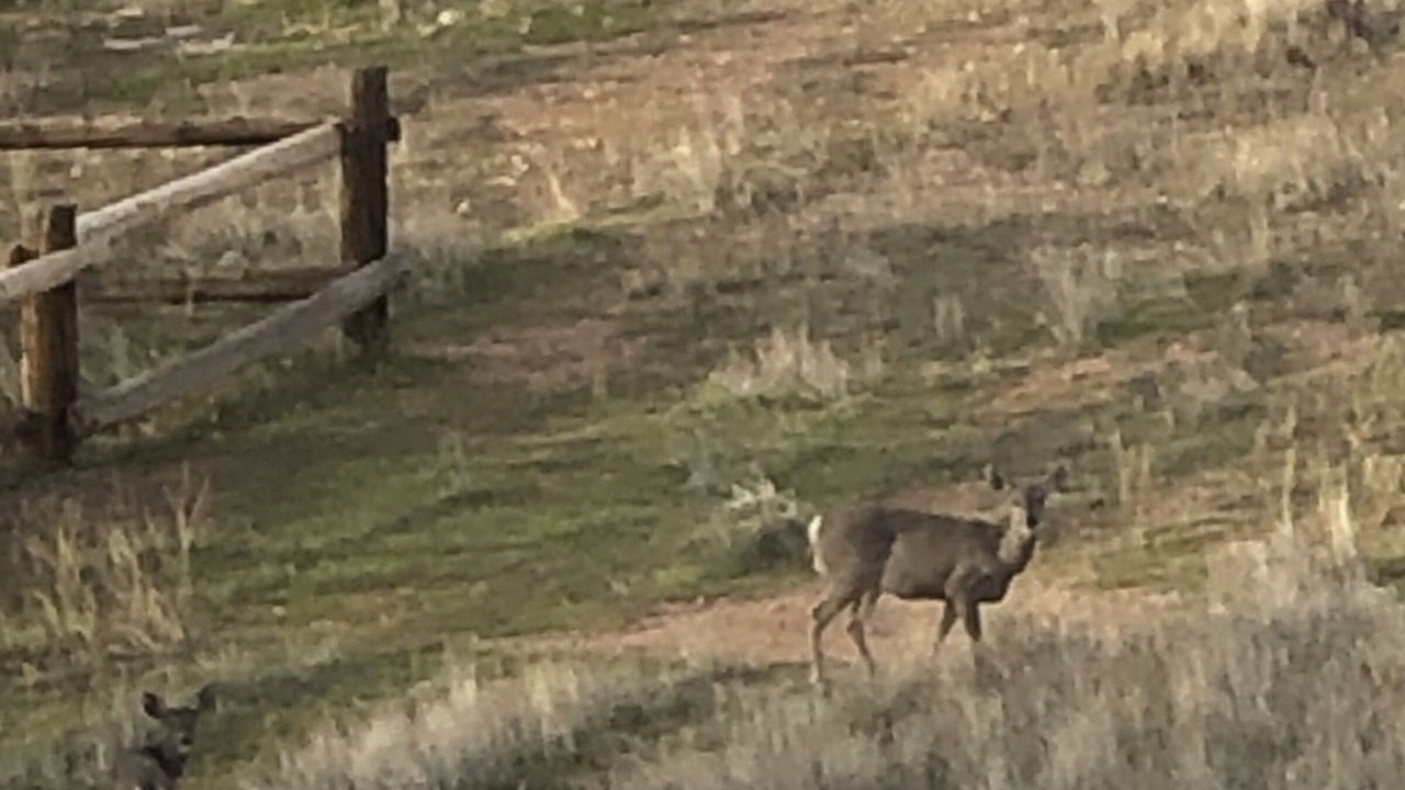 Photo of Outdoor in Rimrock