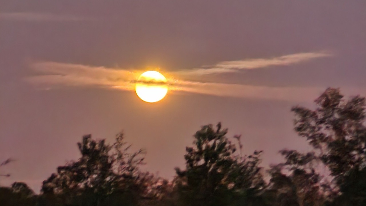 Photo of Others in Boys Ranch