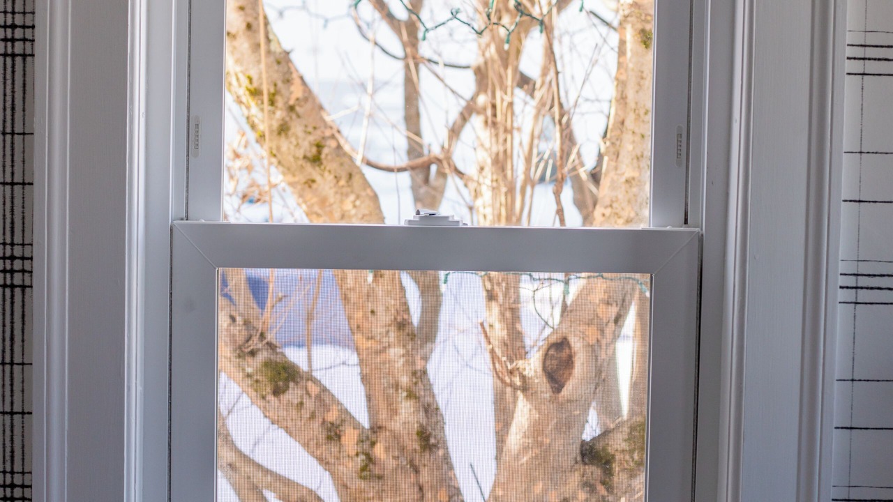 Photo of Others in Francestown