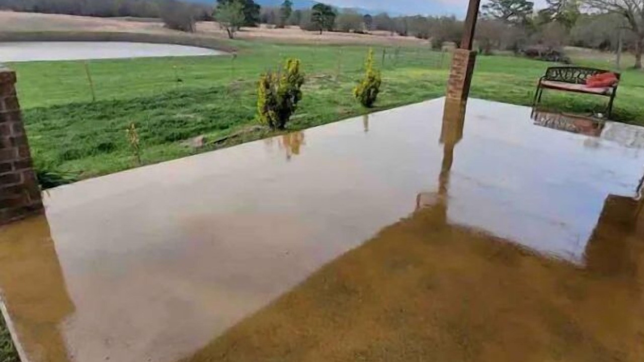Photo of Outdoor in Daisy
