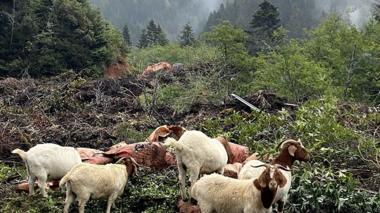 Photo of Others in Brookings