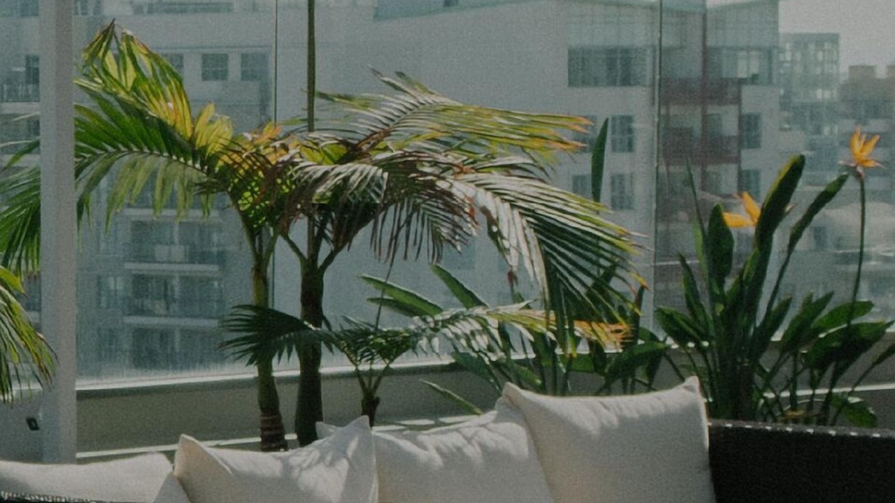 Photo of Outdoor in Upper West Side