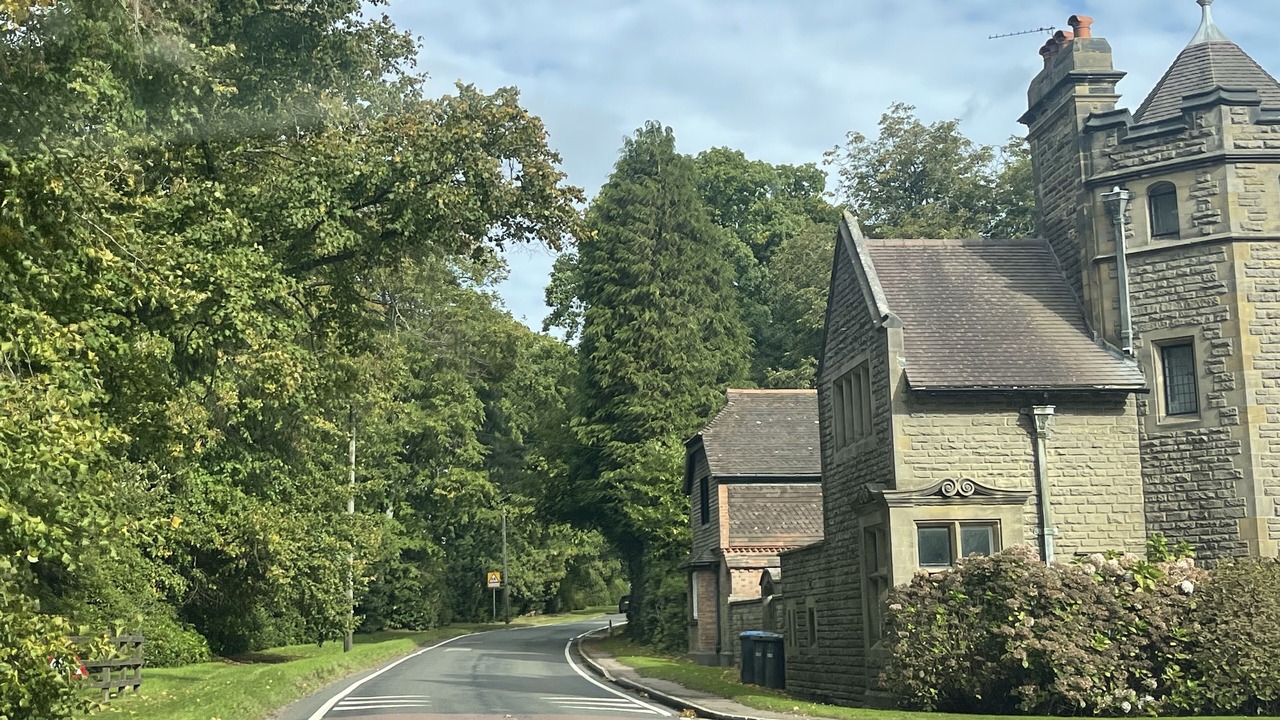 Photo of Others in Acton