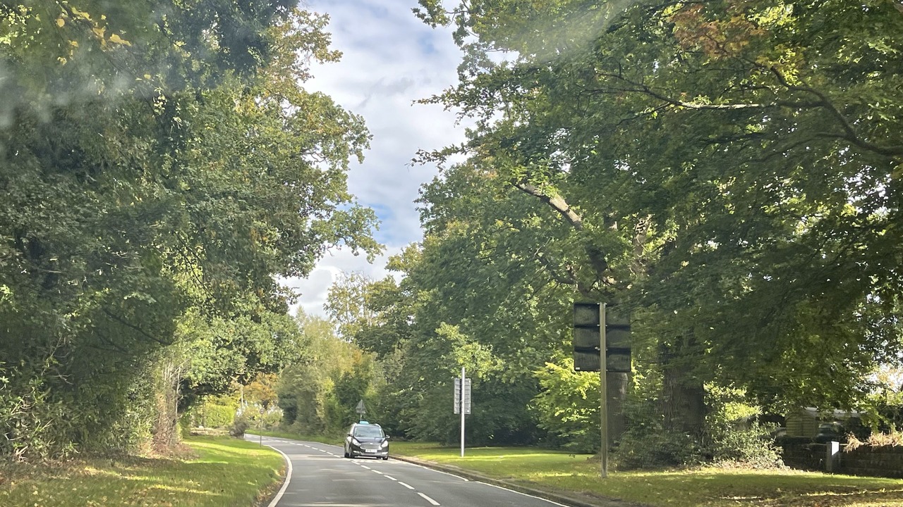 Photo of Others in Acton