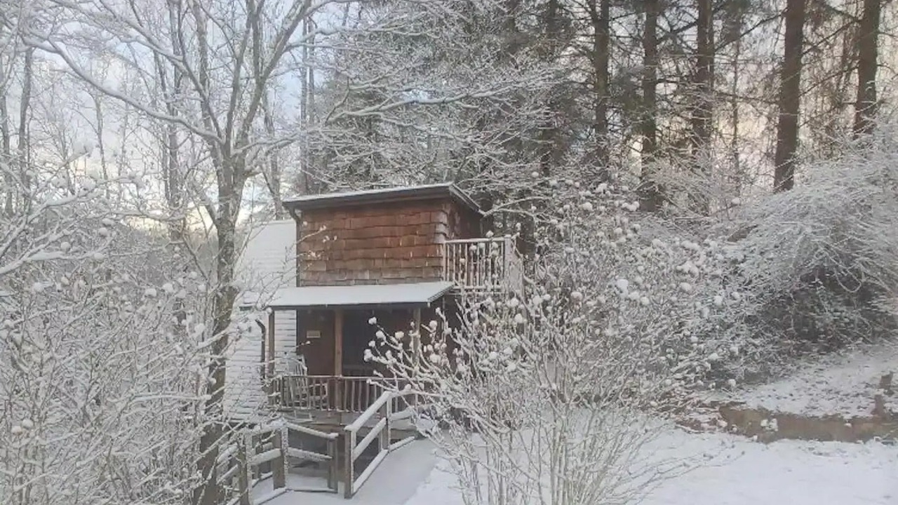 Photo of Outdoor in Forest Hills