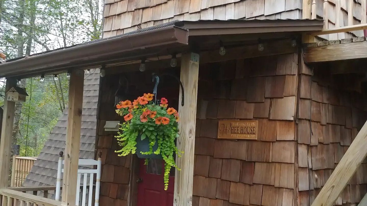 Photo of Outdoor in Forest Hills