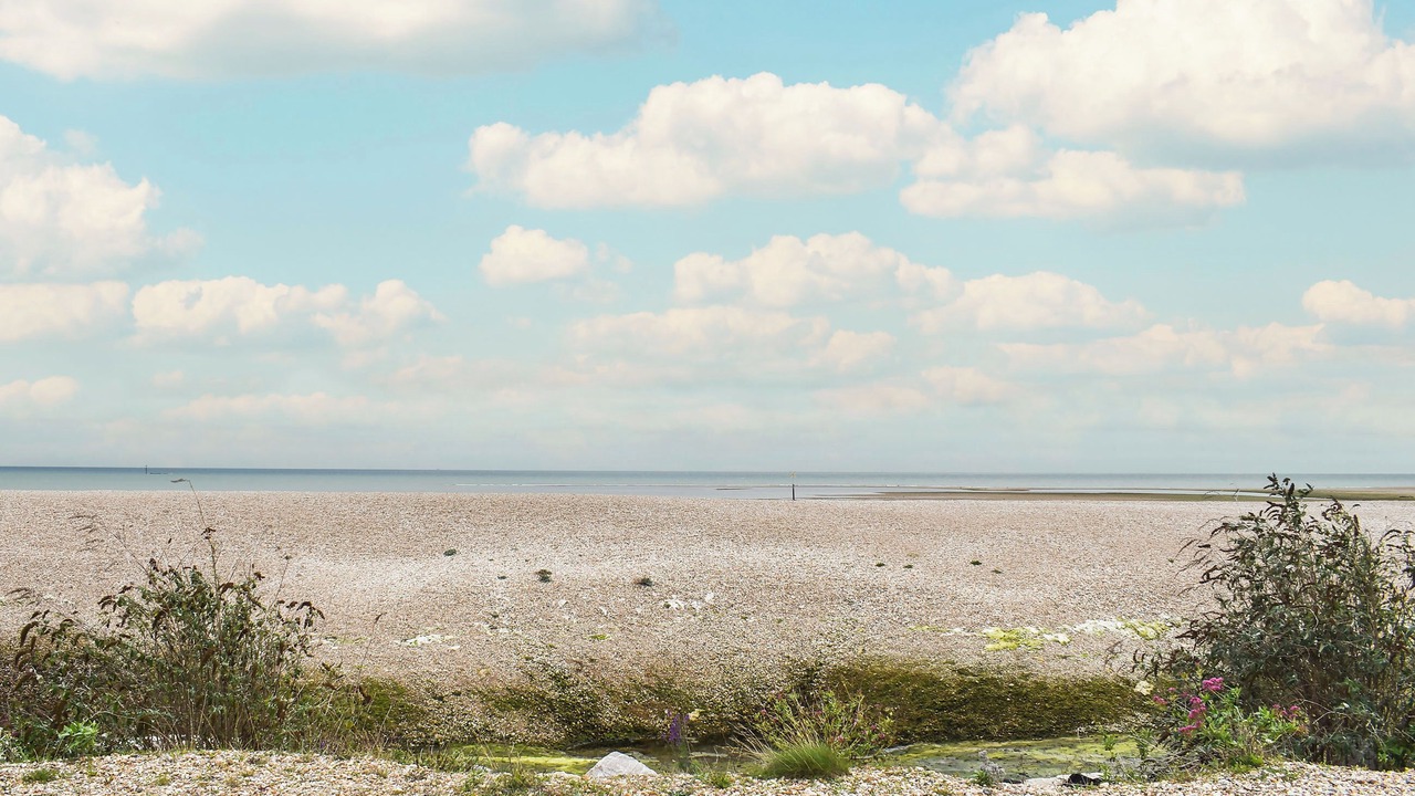 Photo of Others in Pagham