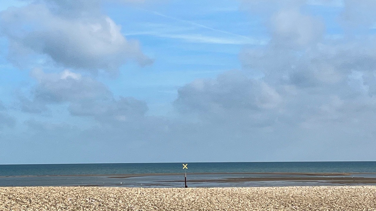 Photo of Others in Pagham