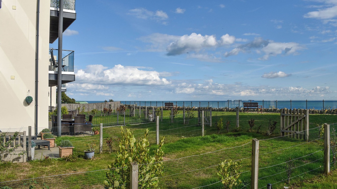 Photo of Others in Sandown